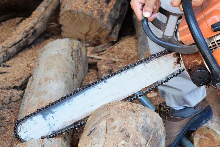 Abattage d'arbres difficiles Gers