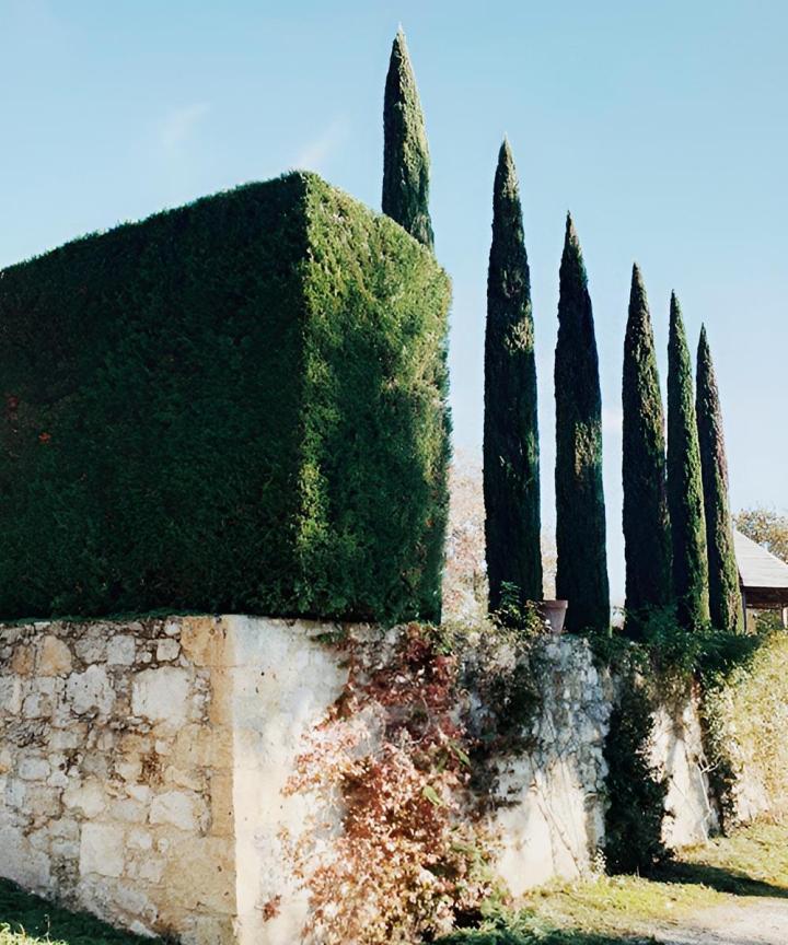 Élaguer des arbres Gers