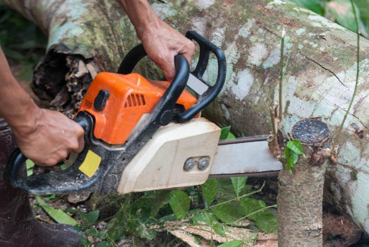 Abattage d'arbres difficiles Gers