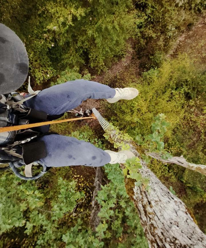 Élagueur-grimpeur Gers